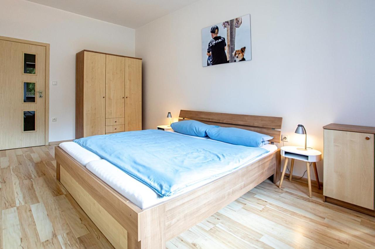Apartman Lipno 50/18 Ліпно-над-Влтавою Екстер'єр фото